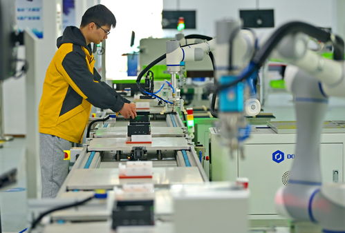 江西贛州 智能設備賦能產業升級，信息技術咨詢服務引領提質增效新篇章